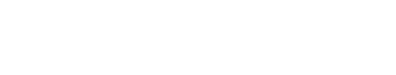 Daniel Shaw Consulting Logo